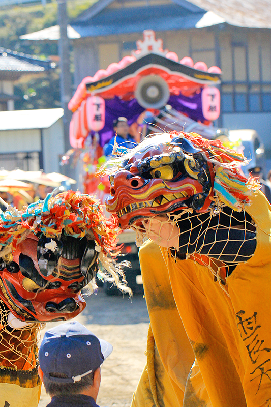 下組虎舞は「震天」「動地」の名を持つ頭が二つ、才坊と共に踊る 