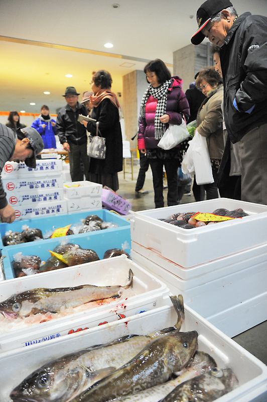 会場には新鮮な海産物がズラリ