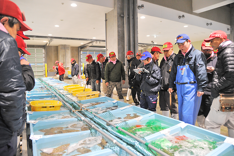 Web東海新報 初競りで活気あふれる 恒例の初売り手締め式 大船渡市魚市場 動画 別写真あり
