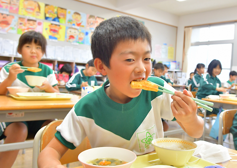 Web東海新報 イカ料理 おいしい インターンの大学生が考案 小中学校の給食に採用 別写真あり